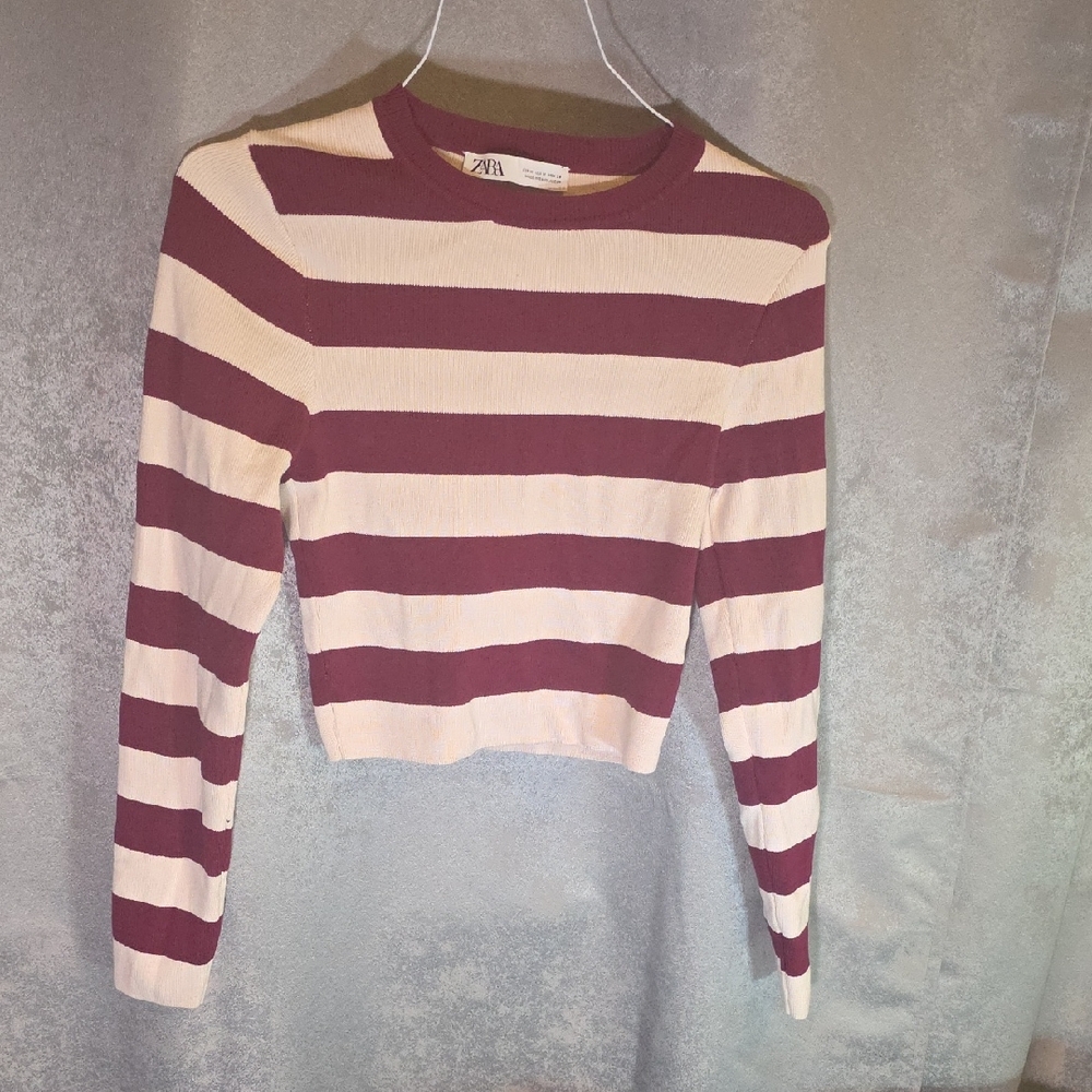 Zara Burgundy & Cream Striped Cropped Long Sleeve Top